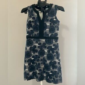 Ann Taylor Petite Black and Cream Dress